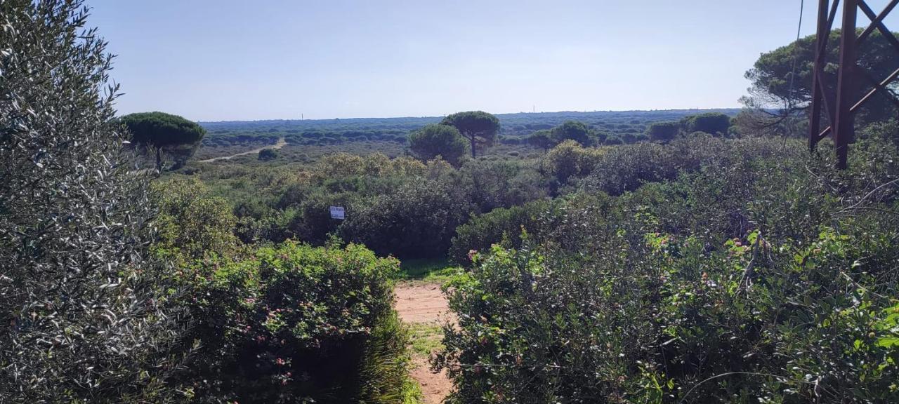 Vila Casa En Loma Sancti Petri A 900 M De La Playa De La Barrosa Chiclana de la Frontera Exteriér fotografie